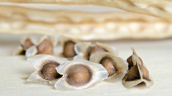 女性肛门长了个肉赘怎么办