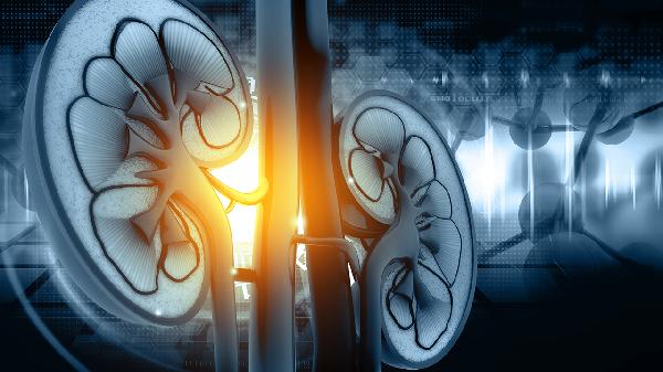 做了肾移植后能活多久 做肾移植需要多少钱