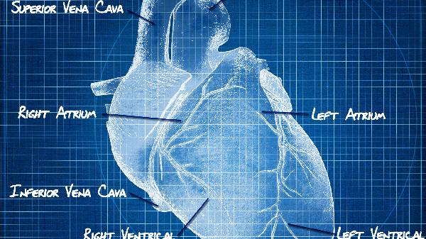 查心肌梗塞多少钱 查心肌梗塞收费受3因素影响