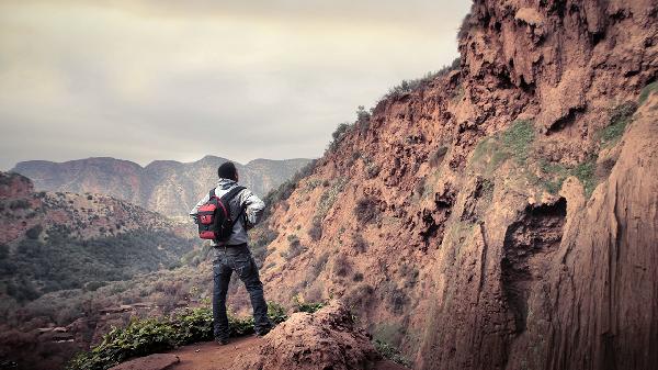 被爬山虎划伤 有刺痛的感觉怎么回事 怎么办