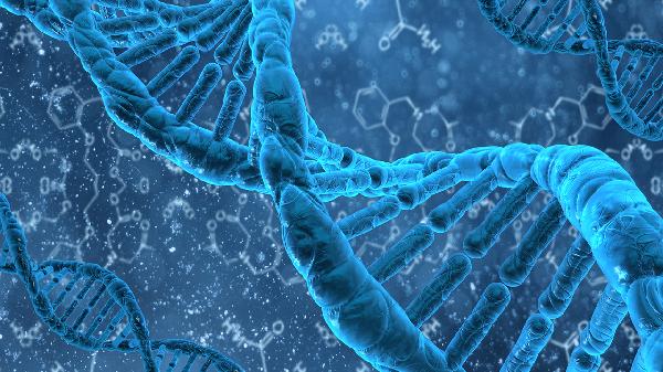 正常人染色体异常几率多大