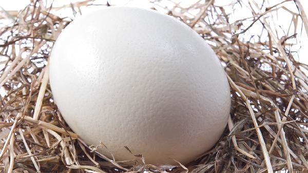 静注人免疫球蛋白ph4多久打一次