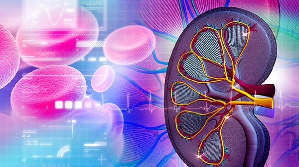 诺如病毒引起的低烧要吃药吗