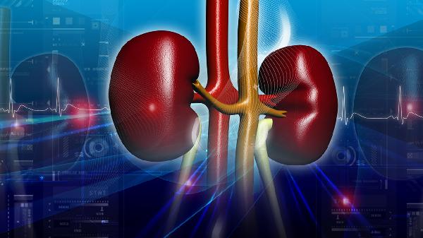 肾好不好的人 往往会有4个异常表现 倘若你有 需及时检查