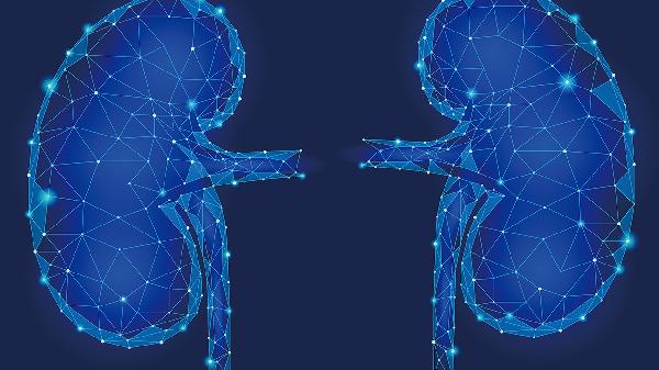 慢性肾衰竭是什么病 慢性肾衰竭的严重后果为你详述