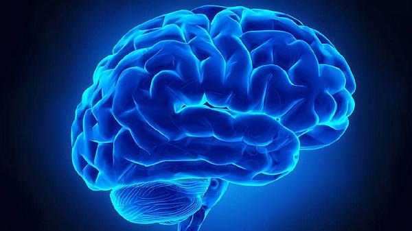 老人脑萎缩的原因有哪些 老人脑萎缩多半是这四个原因