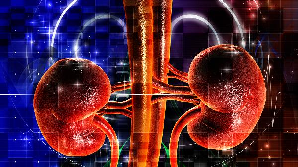 急性肾衰竭少尿期摄入水分过多可发生什么