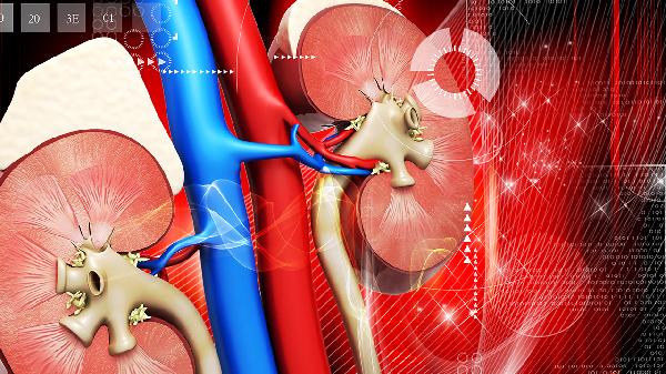 如何预防高血压肾病 盘点预防高血压肾病的小知识