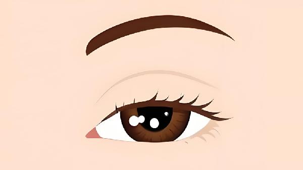 做了上睑下垂矫正能维持多久