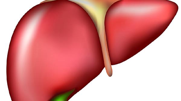 中医如何分型治疗脂肪肝