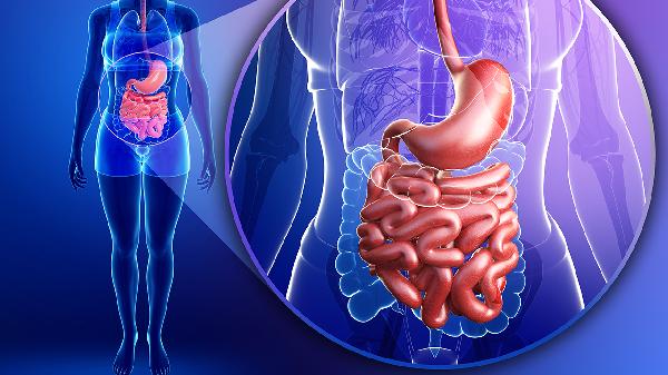 食管裂孔疝是疝气吗 食管裂孔疝和疝气的区别细说