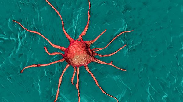 人体乳头瘤病毒是怎么感染的