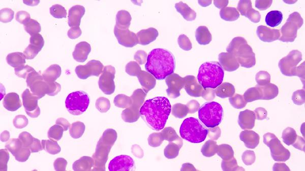 宝宝诺如病毒会免疫吗