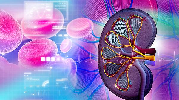 肾小球有效滤过压是什么意思