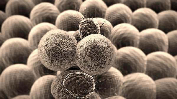 人类免疫缺陷病毒抗体0.01是什么意思