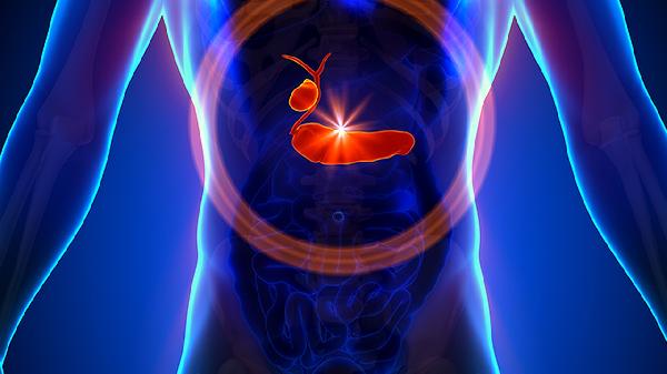 超声引导下胆囊穿刺引流术怎么做