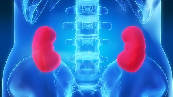 肾积水没有任何症状需要处理吗