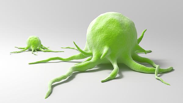 HSV-1型疱疹病毒是什么意思