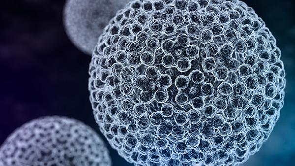 肝囊肿和肝癌的区别有哪些