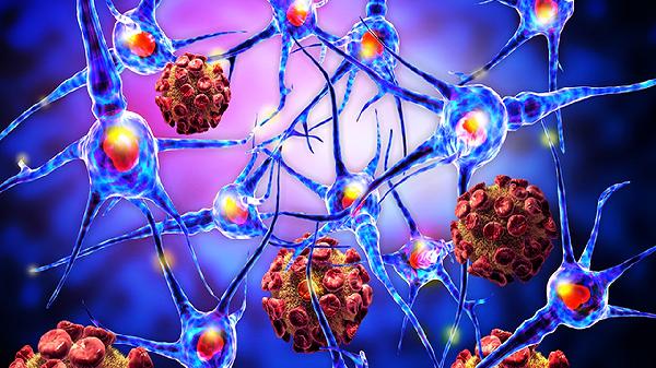 婴儿中性粒细胞低是什么原因