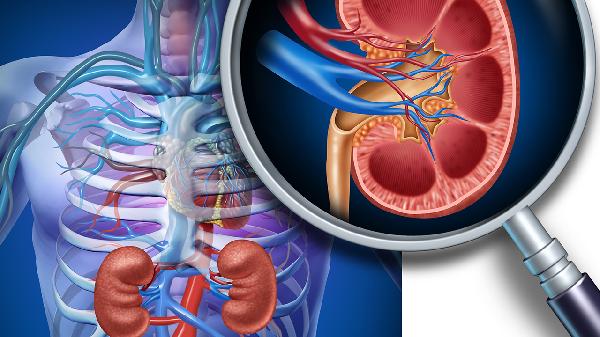 肾结核有哪些症状 肾结核的5个症状让你不好受
