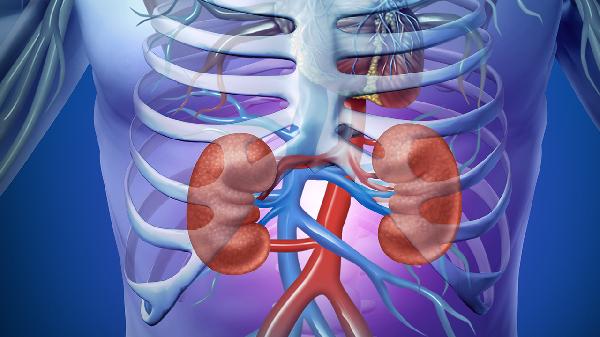 肾结石和尿路结石哪个更严重 认识两个不同部位的结石