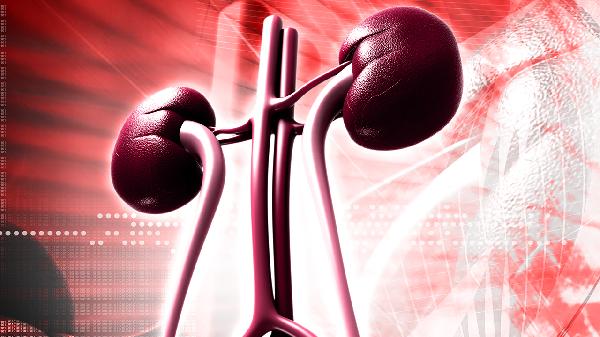 医生提醒:肾不好少碰这3类食物 改掉4个习惯 肾会感激你