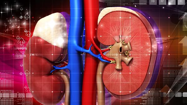 尿常规检查能查出什么病 医生:这3类疾病都“难逃法眼”