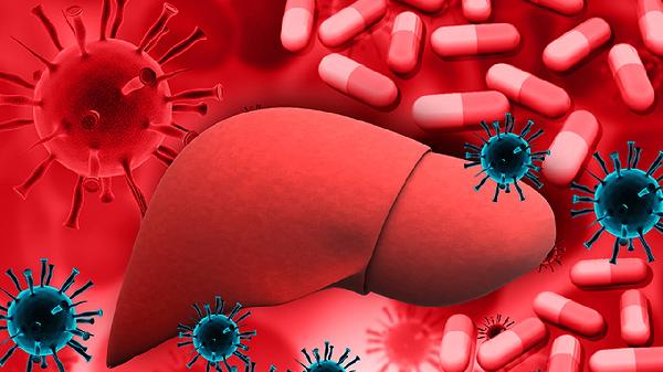 病毒肝炎主要经什么途径传播