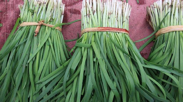 吃什么能治疗眼花 推荐几款治眼花的食物