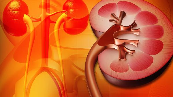 膜性肾病可以喝蜂蜜吗 这些饮食禁忌膜性肾病者须知