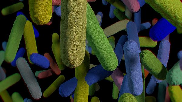 女性嗜酸性粒细胞偏低原因