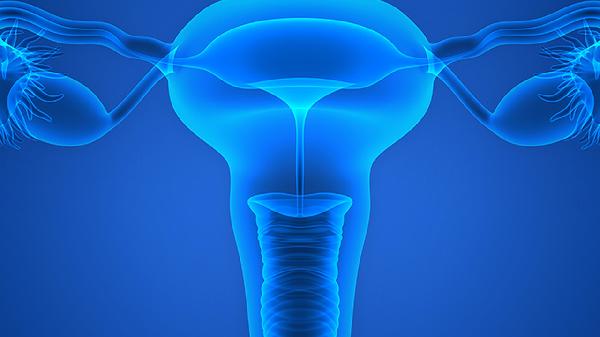 宫颈息肉与宫颈癌前病变区别