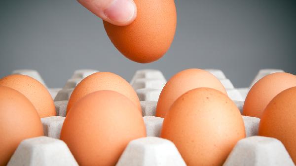 免疫球蛋白E偏低如何治疗