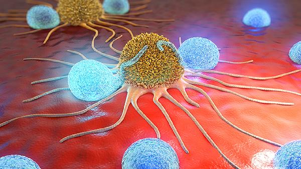 淋巴细胞数偏高是什么意思