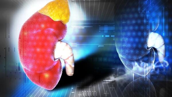 右肾占位性的病变是什么意思