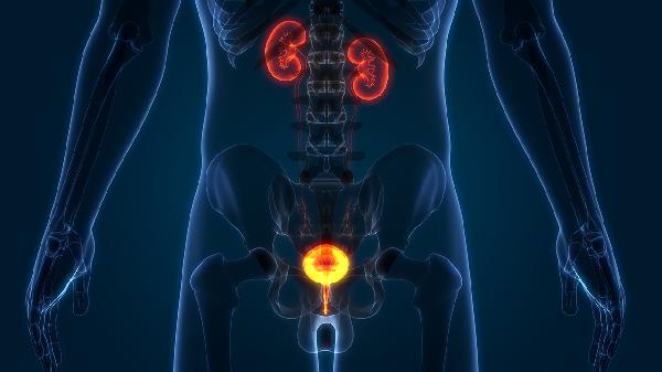 早泄应该吃什么药