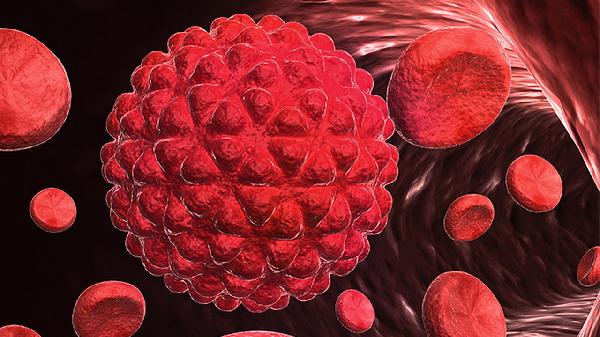 血脂高人群 分享给你6个降血脂的方法 坚持血脂慢慢稳定下来