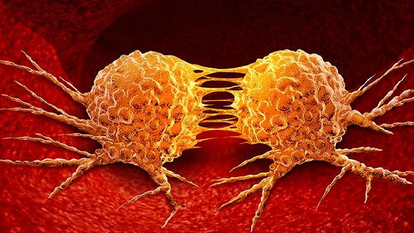 细菌性痢疾是什么 可从五方面了解细菌性痢疾