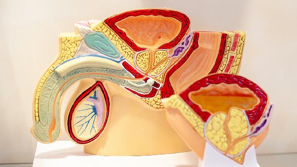 GMAN咀嚼片对早泄真的有效么