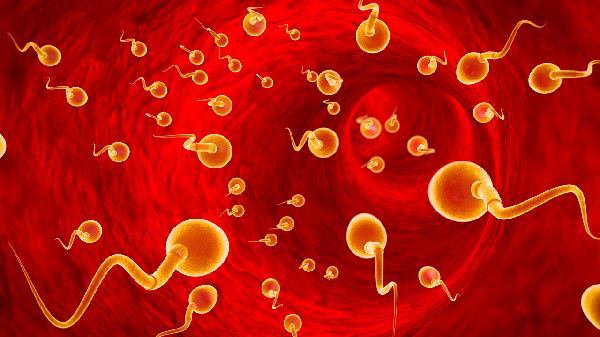 导致男性死精症的原因是什么