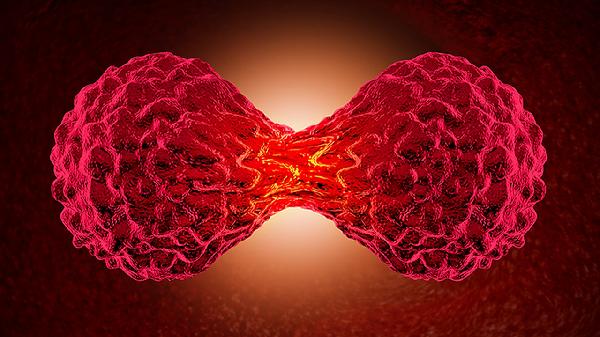 舌下腺囊肿都感觉是一团肉 怎样才能破裂