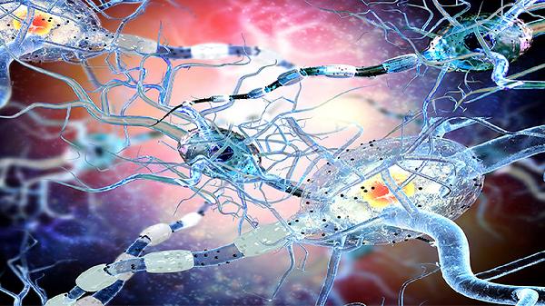 肋间神经炎怎么诊断 揭秘肋间神经炎的诊断标准