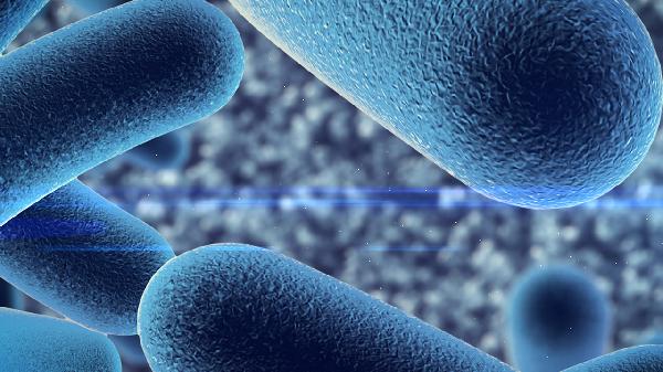 流感病毒感染可以吃外卖吗