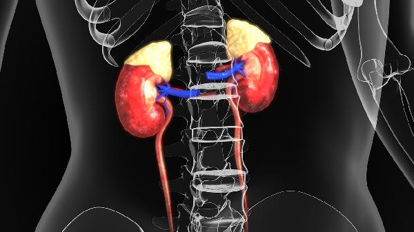 尿酸高不控制 痛风越来越近 牢记3戒 做好4件事 远离痛风