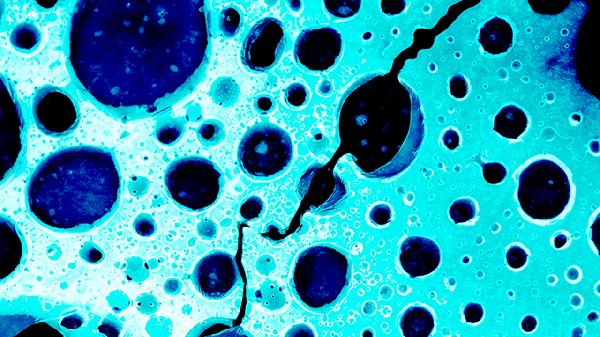 德尔塔病毒株能通过物品传播吗