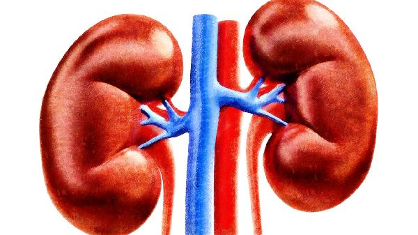 石淋颗粒可以排出肾结石吗