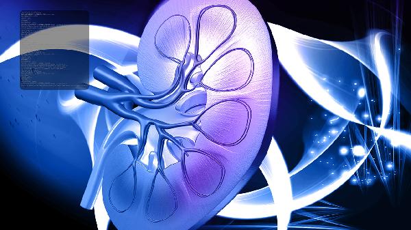 右肾集合系统分离12mm是什么意思