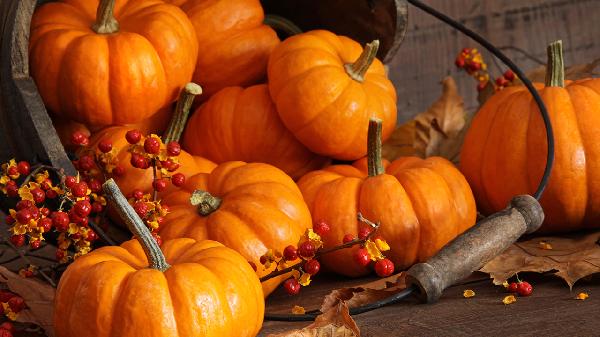 肠镜前一天可以吃什么 肠镜前一天的饮食禁忌须知