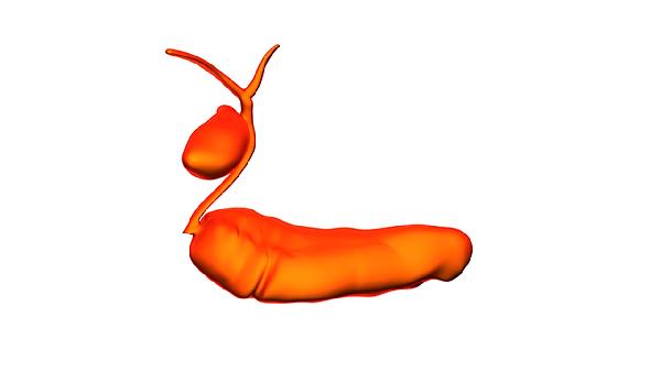 胆汁淤积治疗方法有哪几种